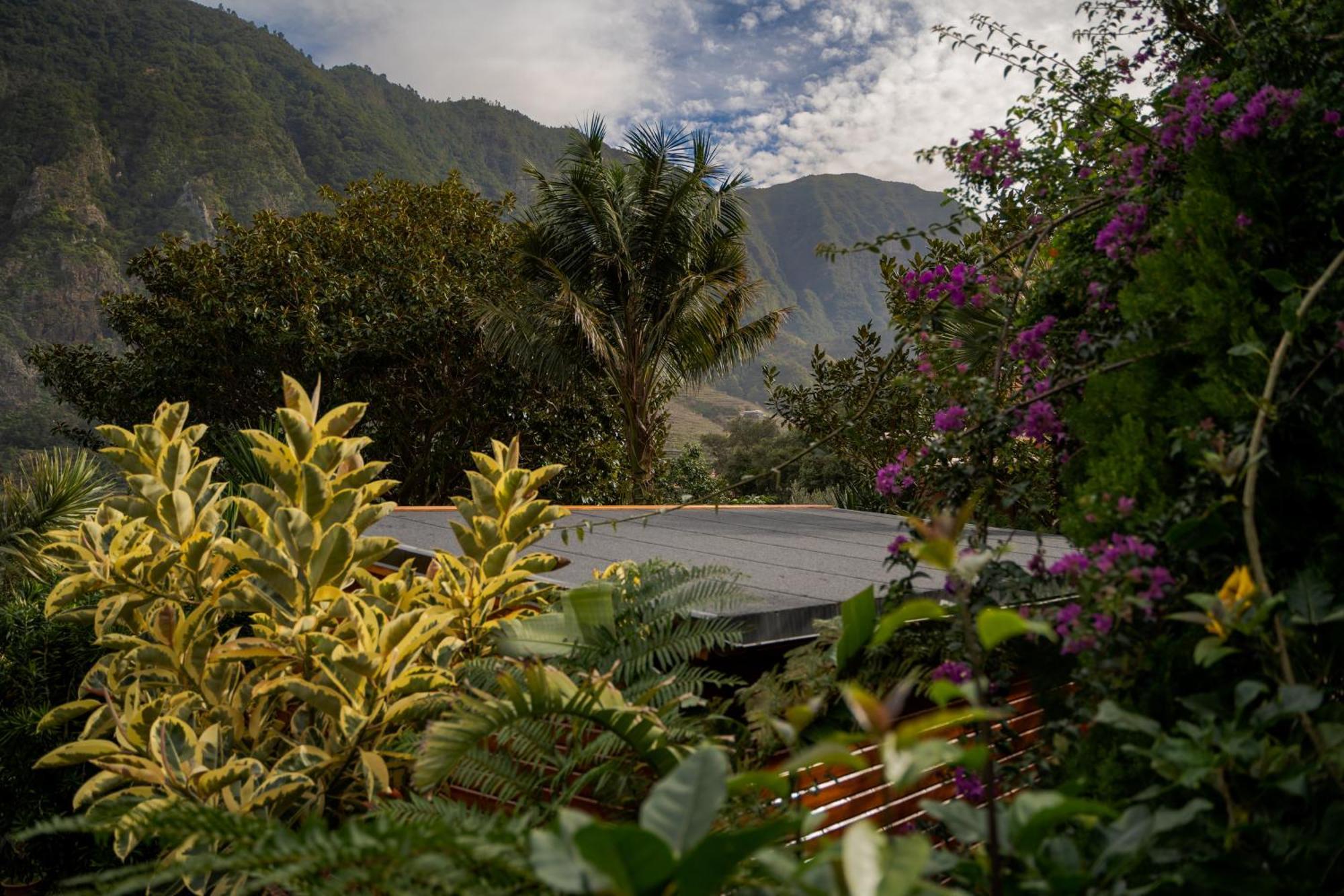 Madeira Surf Lodge São Vicente Dış mekan fotoğraf