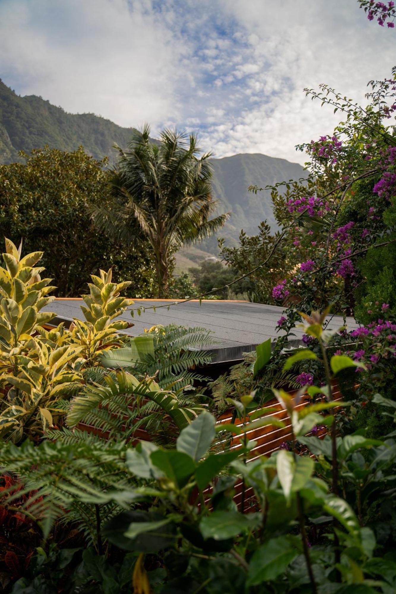 Madeira Surf Lodge São Vicente Dış mekan fotoğraf