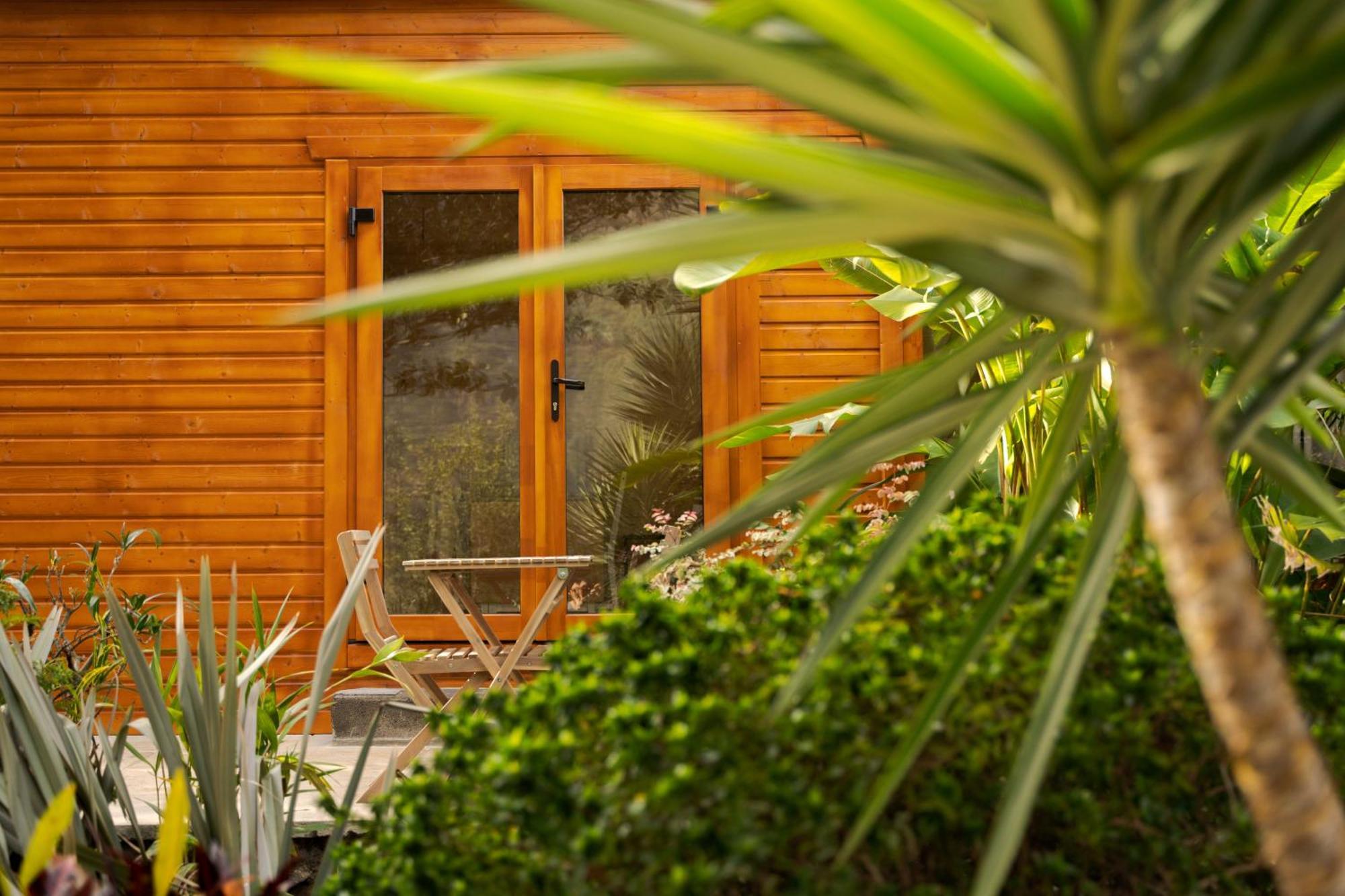 Madeira Surf Lodge São Vicente Dış mekan fotoğraf